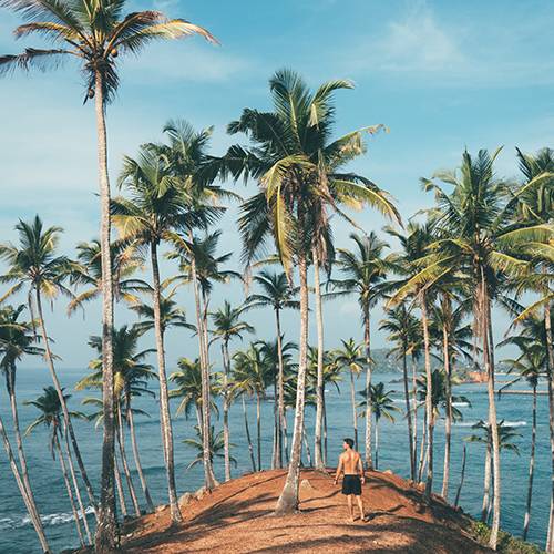 Coastal Area